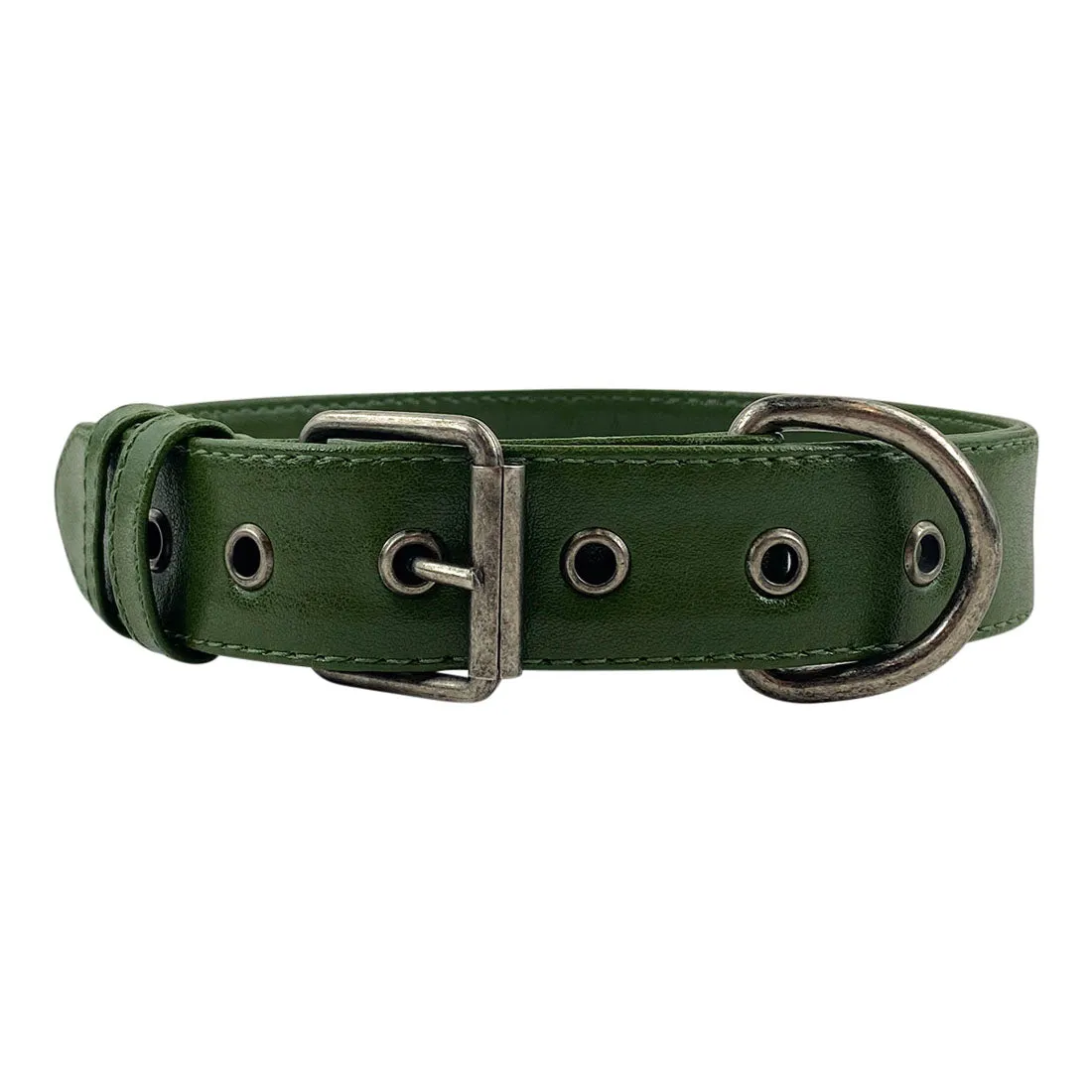 Cactus Leather Dog Collar